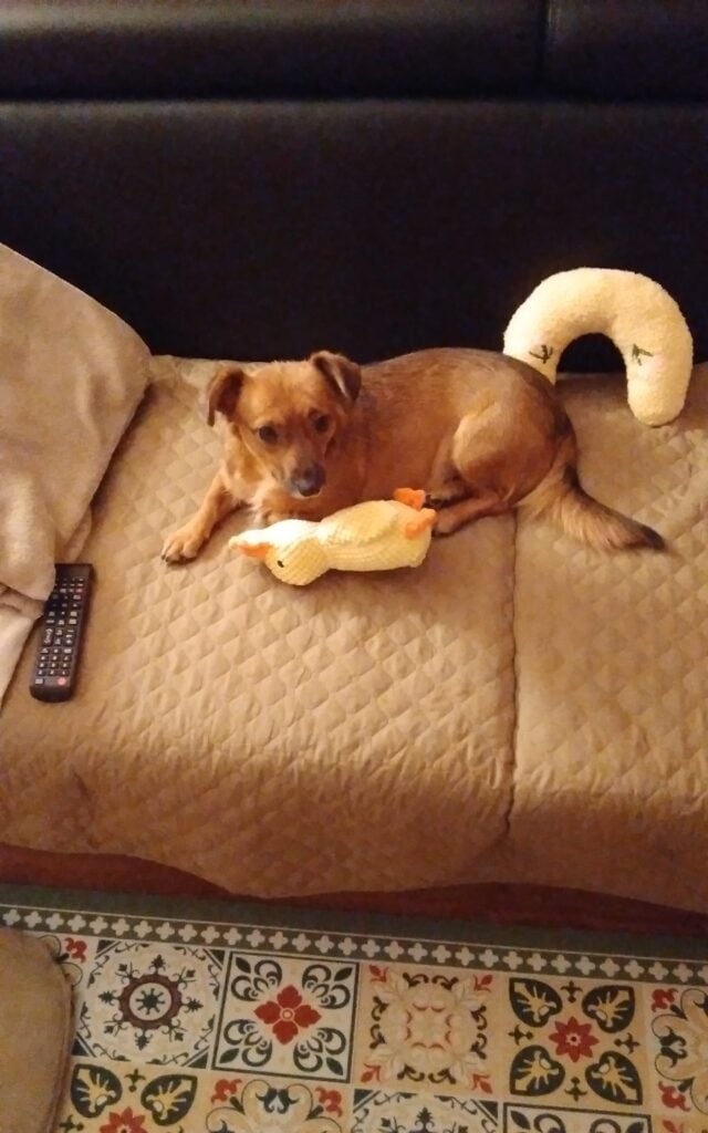 Image #1 from Stefana Ionescu