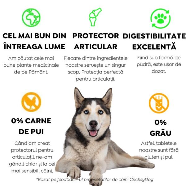 Twinky pudră pentru articulații cu extract de scoică verde (cu linguriță de dozare) – 150 g - imagine 5