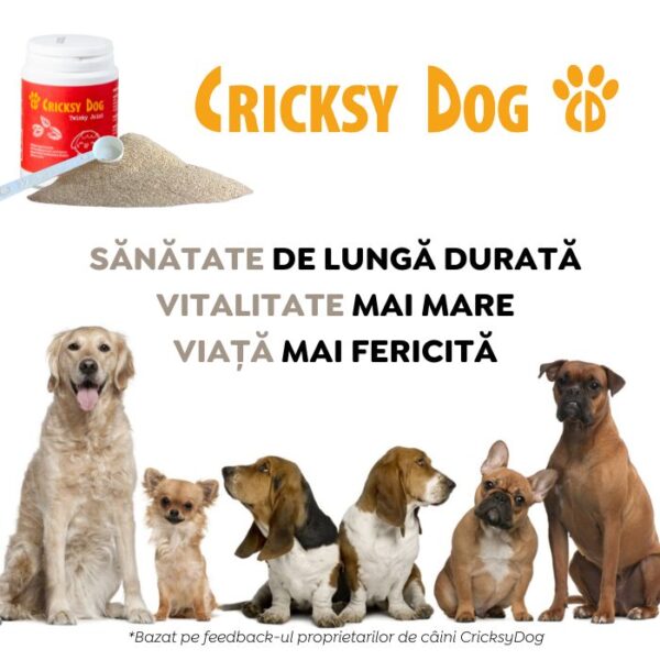 Twinky pudră pentru articulații cu extract de scoică verde (cu linguriță de dozare) – 150 g - imagine 7