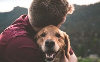 Blog 18 Omul de știință spune că câinii urăsc îmbrățișările. El greșește. Iata de ce.