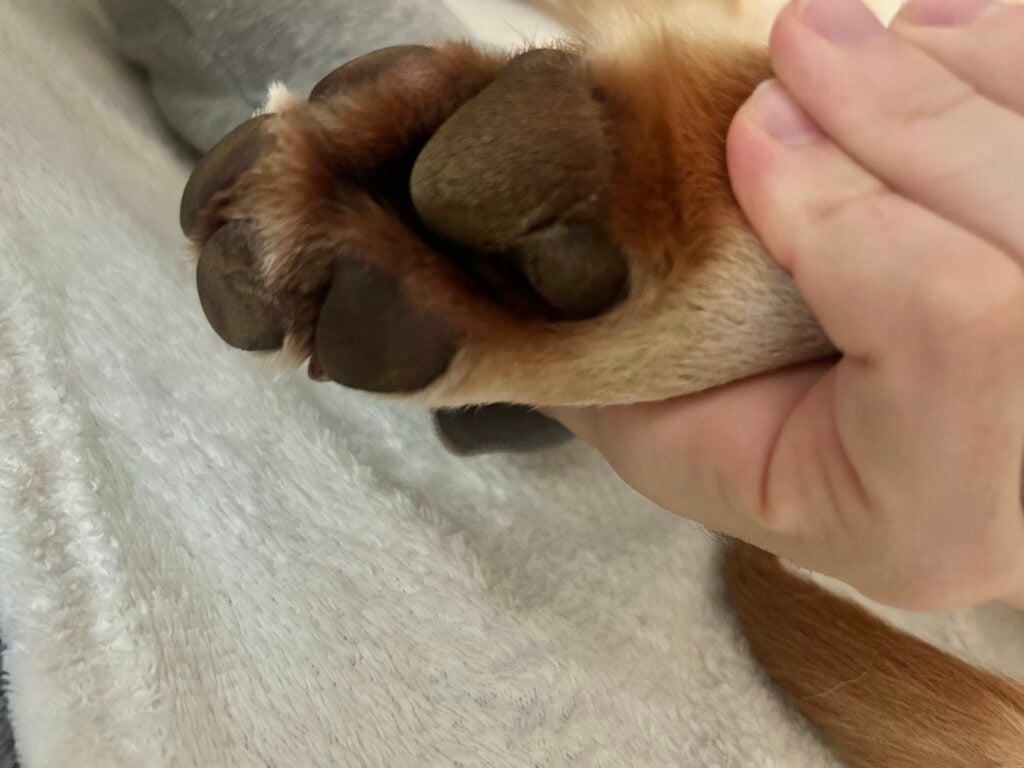 Image #2 from Pricop Marcel