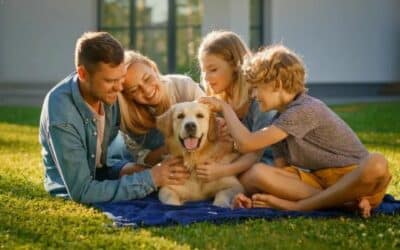 Câinele ca membru al familiei: De ce este acesta un principiu fundamental?
