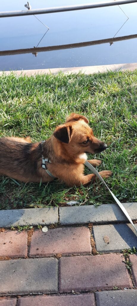 Image #1 from Stefana Ionescu