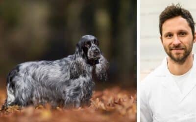 Cățelușul meu mănâncă foarte repede. Practic înghite cina fără să o mestece. Ce aș putea face?