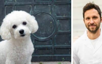 Pamika, bichon-ul mofturos