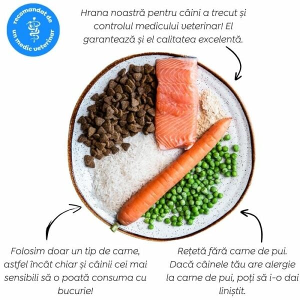Hrană uscată hipoalergenică pentru câini Juliet, cu somon (fără gluten de grâu si fără carne de pui, formulă premium) - imagine 4