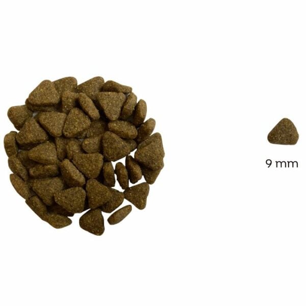 Hrană uscată hipoalergenică pentru câini Juliet, cu somon (fără gluten de grâu si fără carne de pui, formulă premium) - imagine 2