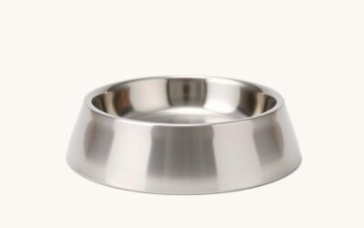 Blog 24 Bol pentru hrană pentru câini – Tot ce trebuie să știi!