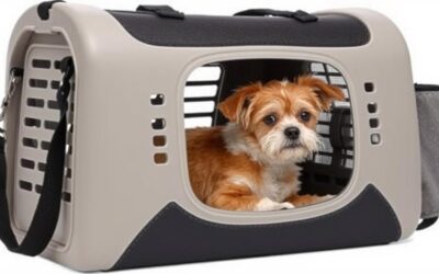 Blog 22 Cușcă de transport pentru câini – Tot ce trebuie să știi!