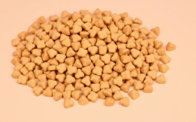 Hrană uscată pentru câini – Tot ce trebuie să știi!