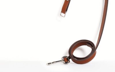 Lesă de antrenament pentru câini – Tot ce trebuie să știi despre asta!