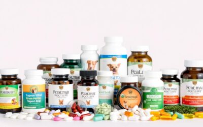 Blog 22 Probiotice pentru câini – Tot ce trebuie să știi!