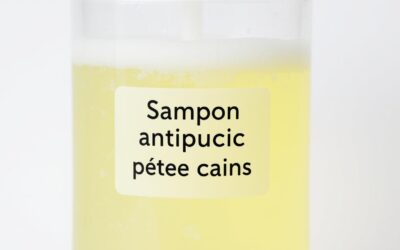 Blog 19 Șampon antipureci pentru câini – Tot ce trebuie să știi!