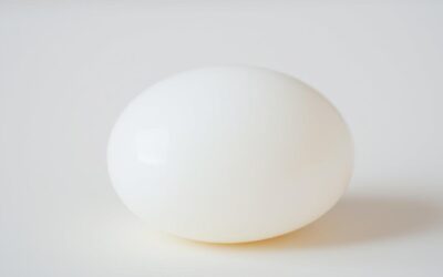 Blog 21 Poate câinele meu să mănânce albuș de ou? – Tot ce trebuie să știi despre asta!