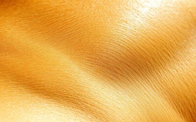 Blog 19 Câine piele grasă – Tot ce trebuie să știi despre asta!