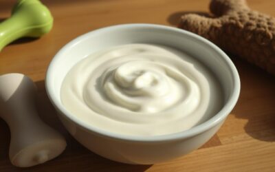 Poate câinele meu să mănânce iaurt? – Tot ce trebuie să știi despre asta!