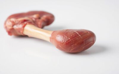 Poate câinele meu să mănânce rinichi? – Tot ce trebuie să știi despre asta!