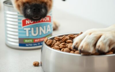 Poate câinele meu să mănânce ton? – Tot ce trebuie să știi despre asta!