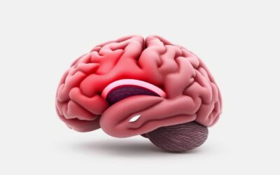 Encefalită la câini – Tot ce trebuie să știi despre asta!