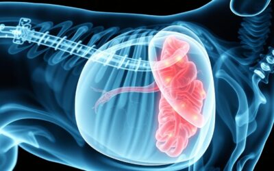 Blog 21 Obstrucție a căilor respiratorii la câini – Tot ce trebuie să știi despre asta!