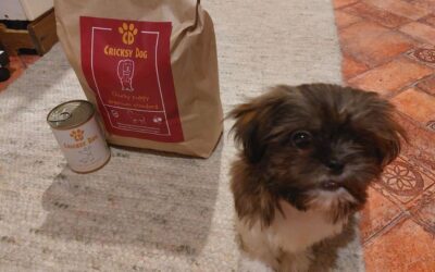 Jurnal de hrănire CricksyDog – cum să-l ții inteligent?