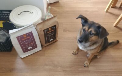 Trucuri utile pentru a nu uita să reînnoiești comanda în magazinul CricksyDog