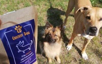 Ce spun clienții fideli despre ambalajul hranei CricksyDog?