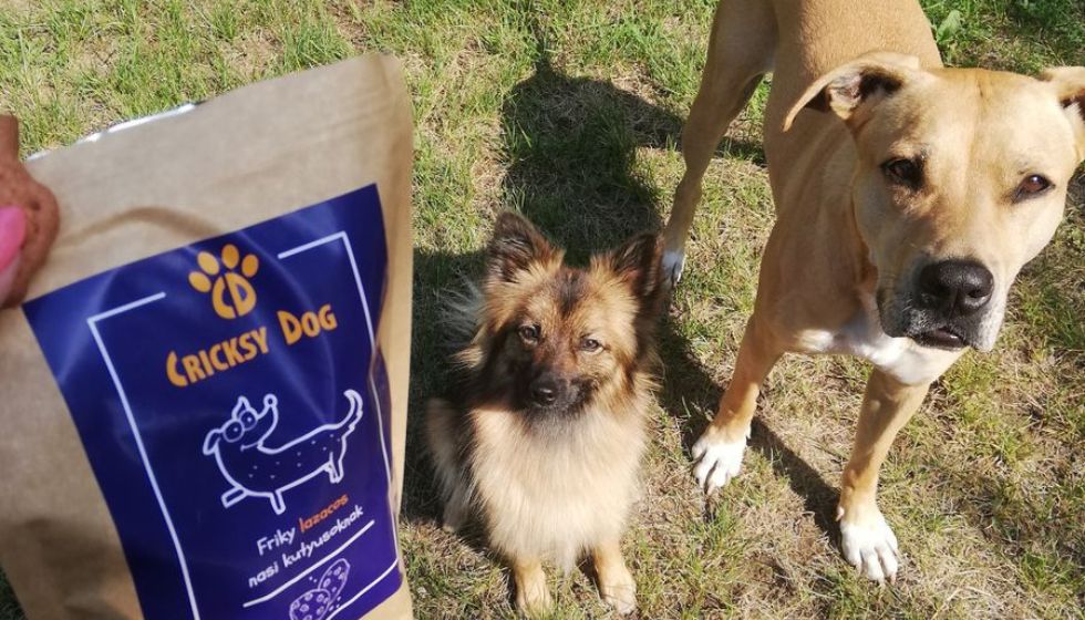Ce spun clienții fideli despre ambalajul hranei CricksyDog?