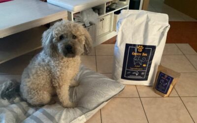 Experiență de client: câinele meu nu se mai scarpină – mulțumesc CricksyDog