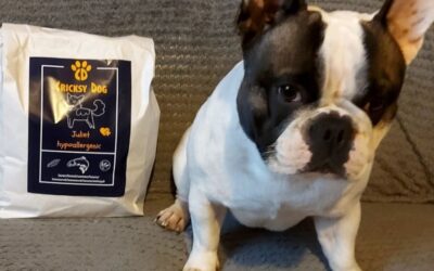 Ce s-a întâmplat după ce am încercat toppingul Mr. Easy de la CricksyDog?