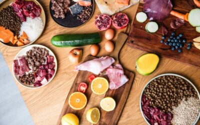 Efectul Denty Mini asupra tartrului – feedback de la stăpâni