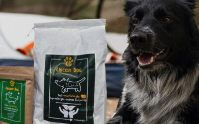 Blog 24 Hrană CricksyDog pentru diaree la câini – pe baza recenziilor reale