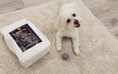 Care hrană CricksyDog a fost cea mai eficientă pentru câinii alergici?