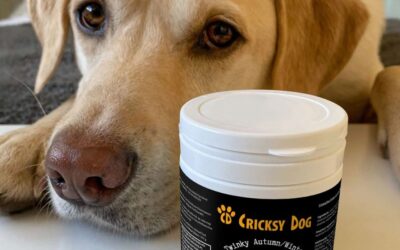Blog 16 Păreri despre raportul calitate-preț al hranelor CricksyDog