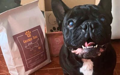 Blog 17 Efectele produselor Twinky pe termen lung – mărturii ale stăpânilor de câini