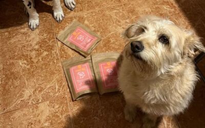 Hrană CricksyDog cu livrare la domiciliu – cum funcționează