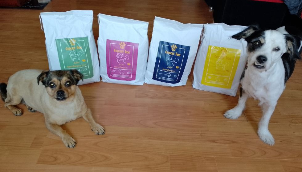 Efectul hranei Juliet cu miel asupra luciului blănii câinilor