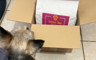 Păreri despre hrană pentru câini: să aleg hrana hipoalergenică Juliet sau Ted pentru câinele meu?