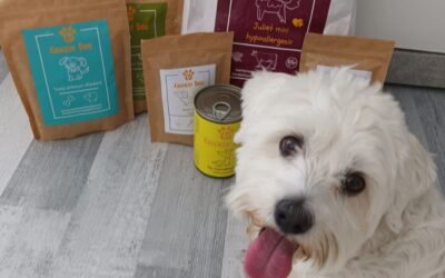 Blog 19 Părerea stăpânilor: a meritat să trecem la hrana CricksyDog?