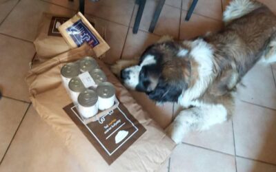 Blog 20 Feedback de la clienți despre produsele de igienă dentară CricksyDog pentru câini