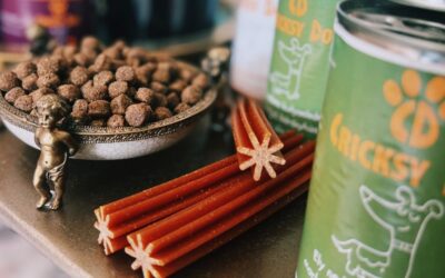 Blog 18 Efectul Denty Mini după 1 lună de utilizare – opinii