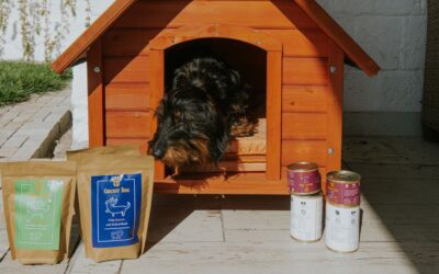 Blog 23 Cum se face plata în magazinul online CricksyDog (ramburs și card online securizat)?