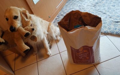 Ted hrană hipoalergenică – funcționează? Așa spun stăpânii