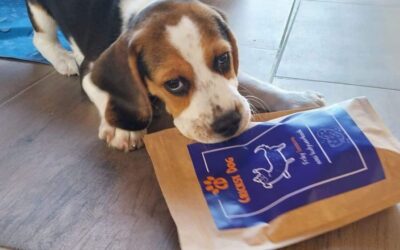 Opinii CricksyDog pentru câinii cu stomac sensibil