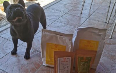 Juliet cu miel vs Vet Life – opiniile stăpânilor