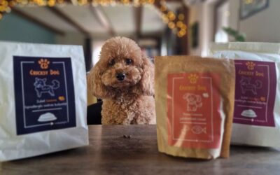 Prețul hranei Juliet merită? Părerea clienților