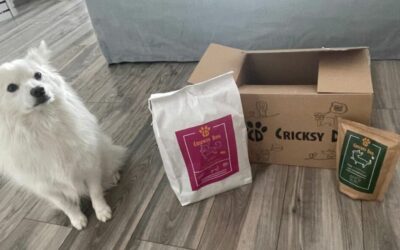 Achiziționarea hranei Juliet cu miel hipoalergenică – tot ce trebuie să știi