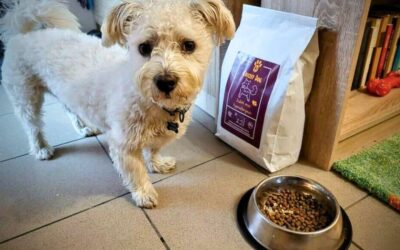 Cum s-a schimbat viața câinelui tău după hrana CricksyDog?