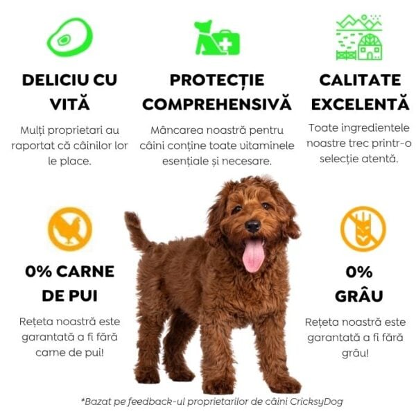 Ely Hipoalergenic hrană umedă pentru câini cu vită (fără gluten de grâu si fără carne de pui, formulă premium) – 410 g - imagine 5
