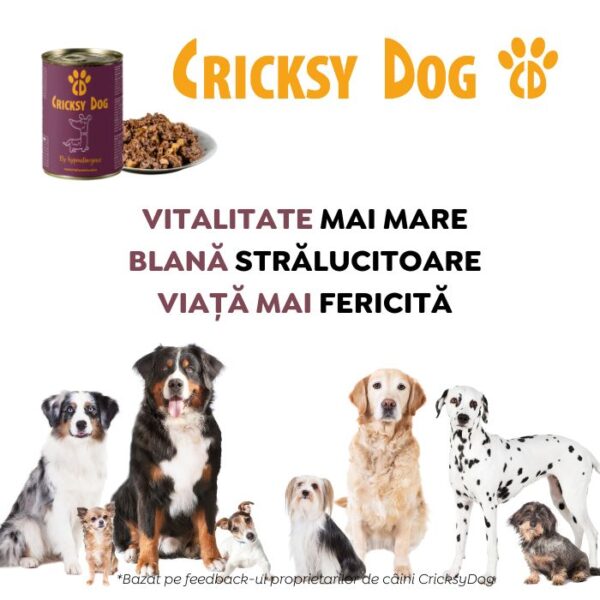 Ely Hipoalergenic hrană umedă pentru câini cu vită (fără gluten de grâu si fără carne de pui, formulă premium) – 410 g - imagine 8